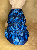 کاپشن سگ و گربه